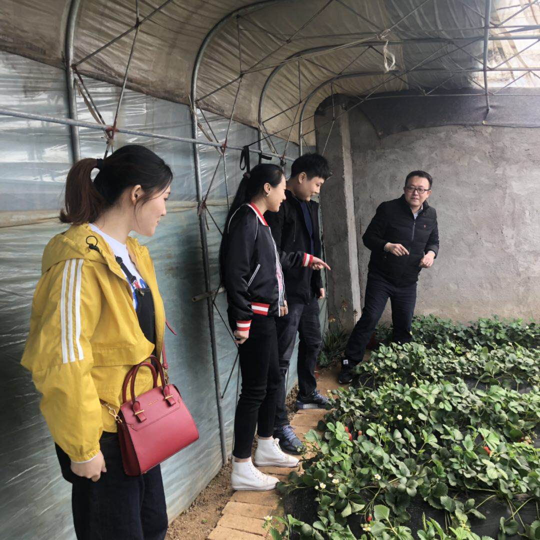 凯时尊龙人生就是博·Z6(中国)首页官网